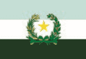 Bandeira Primavera de Rondônia RO bandeira Primavera de Rondônia RO