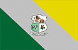 Bandeira Capão do Leão RS bandeira Capão do Leão RS