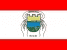Bandeira Ibirapuitã RS bandeira Ibirapuitã RS