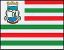 Bandeira Liberato Salzano RS bandeira Liberato Salzano RS