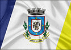 Bandeira Minas do Leão RS bandeira Minas do Leão RS