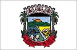 Bandeira Morrinhos do Sul SC bandeira Morrinhos do Sul SC