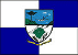 Bandeira Nova Petrópolis RS bandeira Nova Petrópolis RS