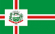 Bandeira Nova Prata RS bandeira Nova Prata RS