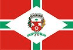 Bandeira Vacaria RS bandeira Vacaria RS
