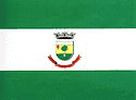 Bandeira Alecrim RS bandeira Alecrim RS