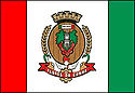 Bandeira Flores da Cunha RS bandeira Flores da Cunha RS