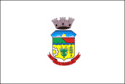 Bandeira Horizontina RS bandeira Horizontina RS