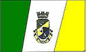 Bandeira Lavras do Sul RS bandeira Lavras do Sul RS