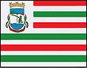 bandeira Liberato Salzano RS