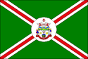 Bandeira Linha Nova RS bandeira Linha Nova RS