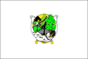 Bandeira Nova Araçá RS bandeira Nova Araçá RS