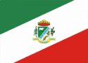 bandeira Novo Barreiro RS