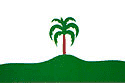 Bandeira Palmeira das Missões RS bandeira Palmeira das Missões RS