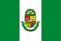 Bandeira Panambi RS bandeira Panambi RS