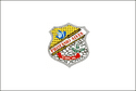 bandeira Protásio Alves RS