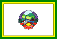 bandeira Riozinho RS