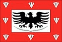 Bandeira Roque Gonzales RS bandeira Roque Gonzales RS
