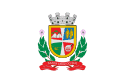 Bandeira Santa Cruz do Sul RS bandeira Santa Cruz do Sul RS