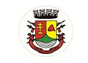 Bandeira São Borja RS bandeira São Borja RS