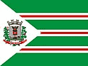 Bandeira Serafina Corrêa RS bandeira Serafina Corrêa RS