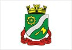 Bandeira Brusque SC bandeira Brusque SC