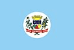 Bandeira Palmitos SC bandeira Palmitos SC