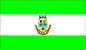 Bandeira Presidente Getúlio SC bandeira Presidente Getúlio SC