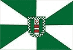 Bandeira Rio dos Cedros SC bandeira Rio dos Cedros SC