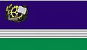 Bandeira Rio Negrinho SC bandeira Rio Negrinho SC