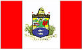 Bandeira Tijucas SC bandeira Tijucas SC
