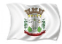 Bandeira Tunápolis SC bandeira Tunápolis SC