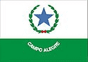bandeira Campo Alegre SC