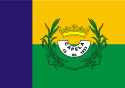 Bandeira Capela SE bandeira Capela SE