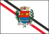 Bandeira Araras SP bandeira Araras SP