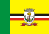 Bandeira Birigui SP bandeira Birigui SP