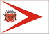 Bandeira Buri SP bandeira Buri SP