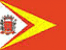 Bandeira General Salgado SP bandeira General Salgado SP