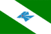 Bandeira Parapuã SP bandeira Parapuã SP
