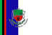 Bandeira Pereiras SP bandeira Pereiras SP