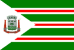 Bandeira Pitangueiras SP bandeira Pitangueiras SP