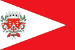 Bandeira Tuiuti SP bandeira Tuiuti SP