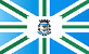 Bandeira Tupi Paulista SP bandeira Tupi Paulista SP