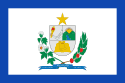Bandeira Andradina SP bandeira Andradina SP
