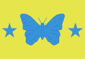 Bandeira Bady Bassitt SP bandeira Bady Bassitt SP