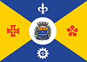 Bandeira Barueri SP bandeira Barueri SP