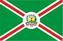 Bandeira Bebedouro SP bandeira Bebedouro SP