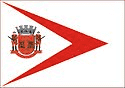 bandeira Buri SP