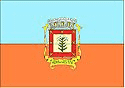 bandeira Cardoso SP