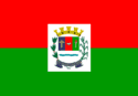 bandeira Cravinhos SP